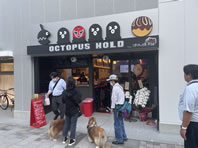 OCTOPUS HOLD